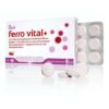 denk pharma ferro vital denk 30 comprimes