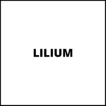 lilium