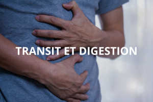 Transit et digestion