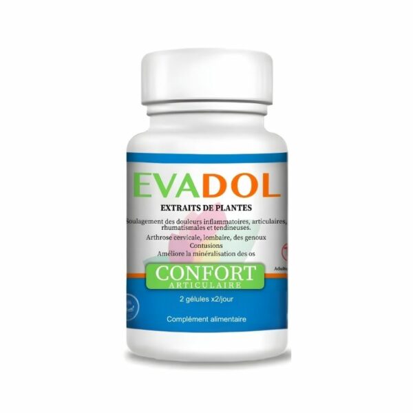 EVADOL CONFORT-ARTICULAIRE BT/40