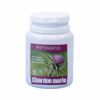 PHYTOVERTUS GRAINE CHARDON MARIE BT/60