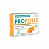 3CHENES PROPOLIS AMP B10
