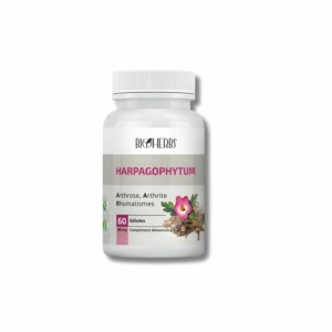 BIOHERBS - HARPAGOPHYTUM 60 GELULES