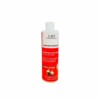 LRP - SHAMPOING ANTI CHUTE AU EXTRAIT AIL NOIR 250 M
