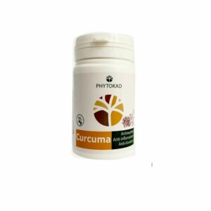 PHYTOKAD CURCUMA - GINGEMBRE - POIVRE NOIR 90 GELULES