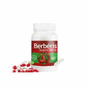 BERBERIS VULGARIS B60 300MG